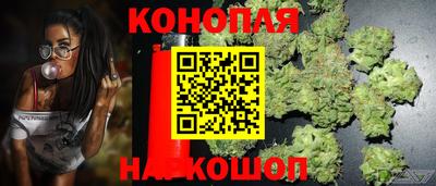 соль ск Лесосибирск